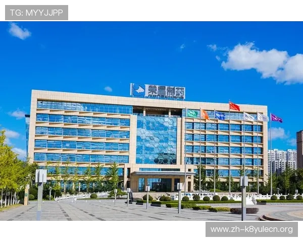 凯发集团网页版登录入口稳定性分析及优化建议全面解析